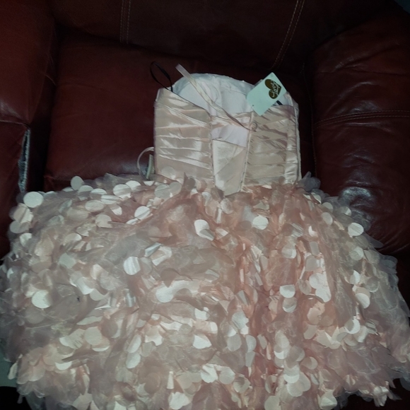 Love 16 Clove Pink Dress NWT size 2 Corset Back Enzoani PROM Special Events - Picture 3 of 6